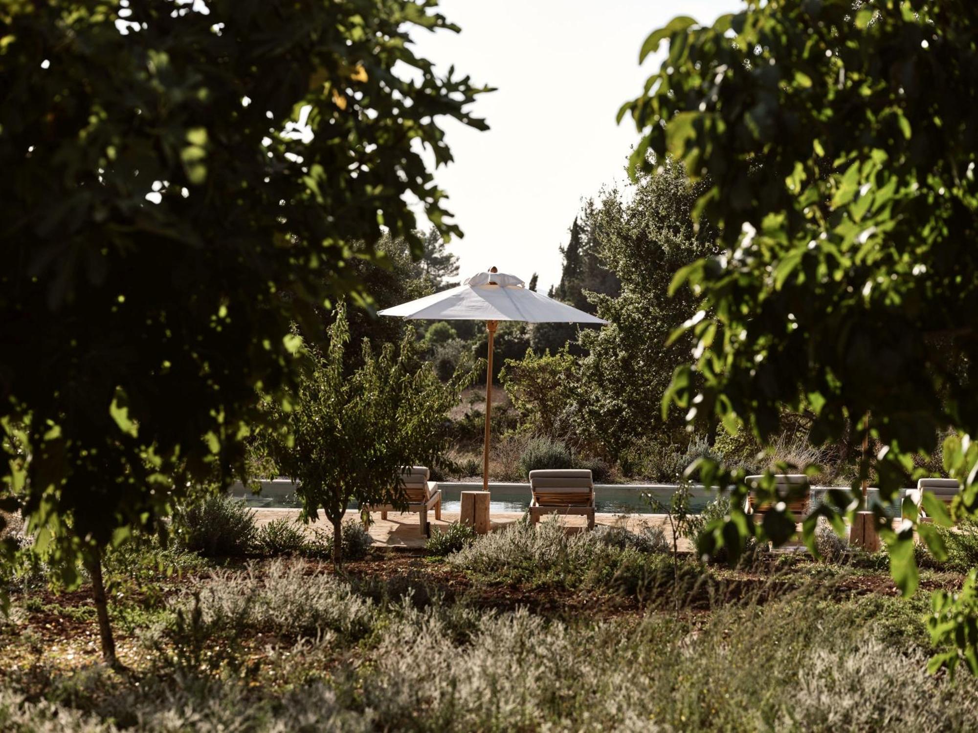 Alkis Farm And Residence Gyri Экстерьер фото